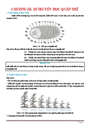 Trắc nghiệm Sinh học 12 - Bài 13 Di truyền học quần thể (Có đáp án và lời giải)